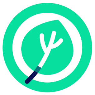 Costomise