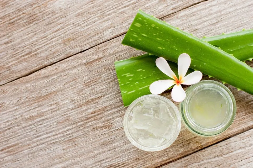 Les ingrédients cosmétiques les plus recherchés et pourquoi les utiliser ?